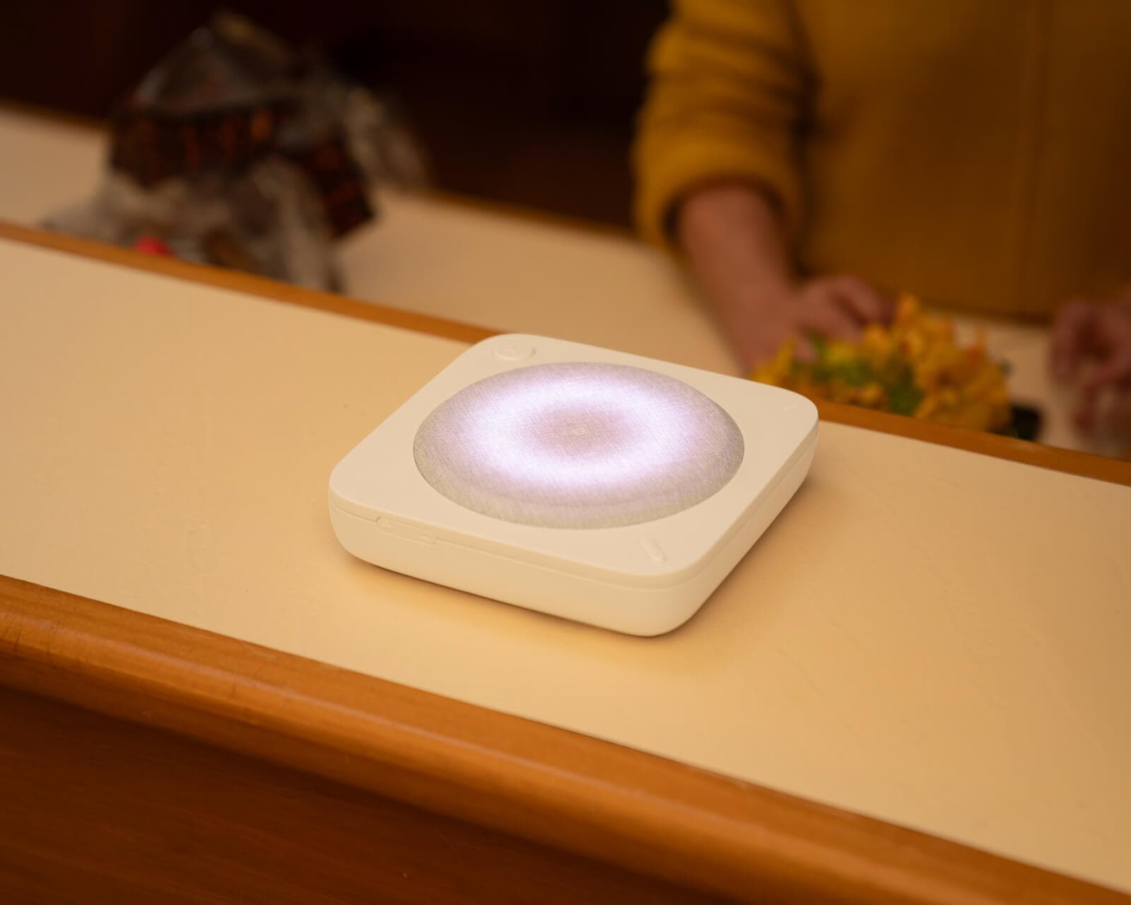 Umps Home Alarm 17